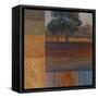 Rhythms of Landscape I-Vivien Rhyan-Framed Stretched Canvas