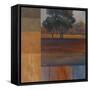 Rhythms of Landscape I-Vivien Rhyan-Framed Stretched Canvas