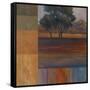 Rhythms of Landscape I-Vivien Rhyan-Framed Stretched Canvas