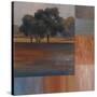 Rhythms of Landscape II-Vivien Rhyan-Stretched Canvas