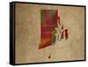 RI Colorful Counties-Red Atlas Designs-Framed Stretched Canvas