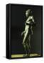 Riace Bronzes, Statue B of Elder, from Greece and Recovered from Waters Off Riace Marina-null-Framed Stretched Canvas