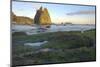 Rialto Beach Olympic National Park in Clallam County, Washington State.-Michele Niles-Mounted Photographic Print