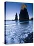 Rialto Beach, Olympic National Park, UNESCO World Heritage Site, Washington State, United States of-Colin Brynn-Stretched Canvas