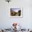 Rialto Bridge, Grand Canal, Venice, Italy-Alan Copson-Framed Photographic Print displayed on a wall