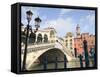 Rialto Bridge, Grand Canal, Venice, UNESCO World Heritage Site, Veneto, Italy, Europe-Amanda Hall-Framed Stretched Canvas