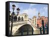 Rialto Bridge, Grand Canal, Venice, UNESCO World Heritage Site, Veneto, Italy, Europe-Amanda Hall-Framed Stretched Canvas