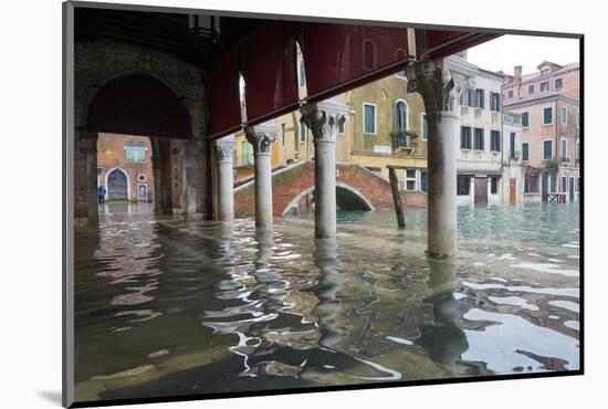 Rialto fish market during the high tide in Venice, November 2019, Venice, Italy-Carlo Morucchio-Mounted Photographic Print