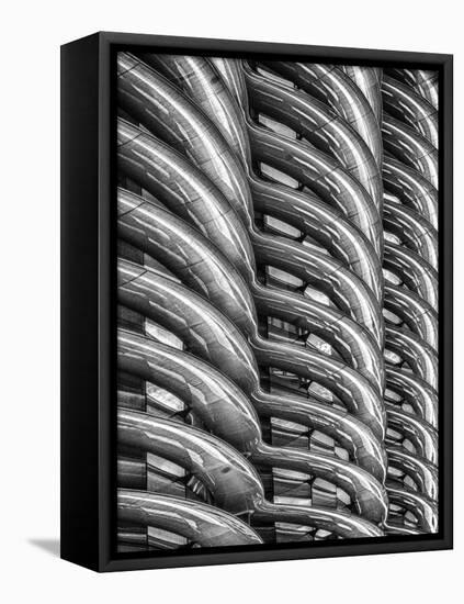 Rib Cage in Mono-Adrian Campfield-Framed Stretched Canvas