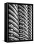 Rib Cage in Mono-Adrian Campfield-Framed Stretched Canvas