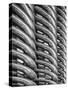 Rib Cage in Mono-Adrian Campfield-Stretched Canvas