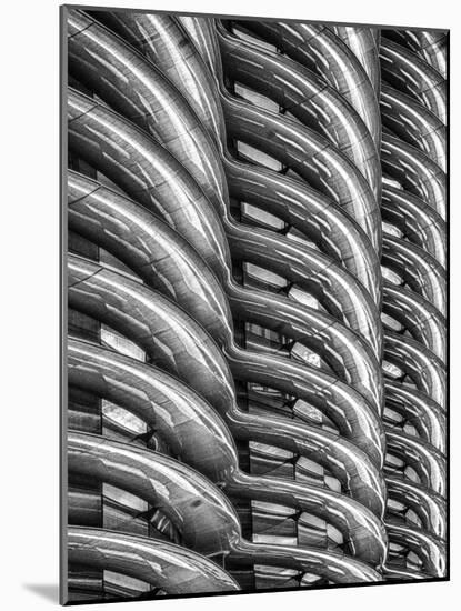 Rib Cage in Mono-Adrian Campfield-Mounted Photographic Print