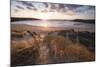 Ribbed Sand and Sand Dunes at Sunset, Crantock Beach, Crantock, Near Newquay, Cornwall-Stuart Black-Mounted Photographic Print