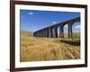 Ribblehead Railway Viaduct on Settle to Carlisle Rail Route, Yorkshire Dales National Park, England-Neale Clark-Framed Premium Photographic Print