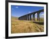 Ribblehead Railway Viaduct on Settle to Carlisle Rail Route, Yorkshire Dales National Park, England-Neale Clark-Framed Premium Photographic Print