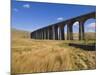 Ribblehead Railway Viaduct on Settle to Carlisle Rail Route, Yorkshire Dales National Park, England-Neale Clark-Mounted Premium Photographic Print