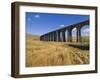 Ribblehead Railway Viaduct on Settle to Carlisle Rail Route, Yorkshire Dales National Park, England-Neale Clark-Framed Photographic Print