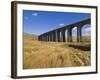 Ribblehead Railway Viaduct on Settle to Carlisle Rail Route, Yorkshire Dales National Park, England-Neale Clark-Framed Photographic Print