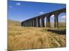 Ribblehead Railway Viaduct on Settle to Carlisle Rail Route, Yorkshire Dales National Park, England-Neale Clark-Mounted Photographic Print
