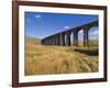 Ribblehead Railway Viaduct on Settle to Carlisle Rail Route, Yorkshire Dales National Park, England-Neale Clark-Framed Photographic Print