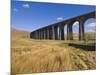 Ribblehead Railway Viaduct on Settle to Carlisle Rail Route, Yorkshire Dales National Park, England-Neale Clark-Mounted Photographic Print