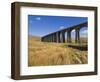 Ribblehead Railway Viaduct on Settle to Carlisle Rail Route, Yorkshire Dales National Park, England-Neale Clark-Framed Photographic Print