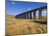 Ribblehead Railway Viaduct on Settle to Carlisle Rail Route, Yorkshire Dales National Park, England-Neale Clark-Mounted Photographic Print