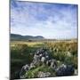 Ribblehead Viaduct Yorkshire, England.-Joe Cornish-Mounted Photo