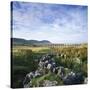 Ribblehead Viaduct Yorkshire, England.-Joe Cornish-Stretched Canvas