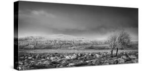 Ribblehead Viaduct-Nick Ledger-Stretched Canvas