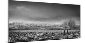 Ribblehead Viaduct-Nick Ledger-Mounted Photographic Print