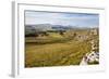 Ribblesdale and Ingleborough from Above Langcliffe Near Settle, Yorkshire, England-Mark Sunderland-Framed Photographic Print