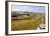 Ribblesdale and Ingleborough from Above Langcliffe Near Settle, Yorkshire, England-Mark Sunderland-Framed Photographic Print
