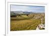 Ribblesdale and Ingleborough from Above Langcliffe Near Settle, Yorkshire, England-Mark Sunderland-Framed Photographic Print