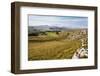 Ribblesdale and Ingleborough from Above Langcliffe Near Settle, Yorkshire, England-Mark Sunderland-Framed Photographic Print