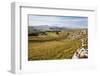 Ribblesdale and Ingleborough from Above Langcliffe Near Settle, Yorkshire, England-Mark Sunderland-Framed Photographic Print