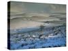 Ribblesdale, Yorkshire, England, United Kingdom-Michael Busselle-Stretched Canvas