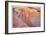 Ribbon Canyon-Donald Paulson-Framed Giclee Print