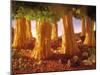 Ribbon Noodle and Lettuce Trees on Beans-Hartmut Seehuber-Mounted Photographic Print