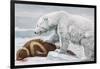 Ribbon Seal, Victim to a Polar Bear-Louis Agassiz Fuertes-Framed Giclee Print