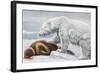 Ribbon Seal, Victim to a Polar Bear-Louis Agassiz Fuertes-Framed Giclee Print