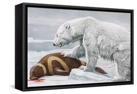 Ribbon Seal, Victim to a Polar Bear-Louis Agassiz Fuertes-Framed Stretched Canvas