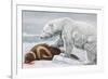 Ribbon Seal, Victim to a Polar Bear-Louis Agassiz Fuertes-Framed Giclee Print
