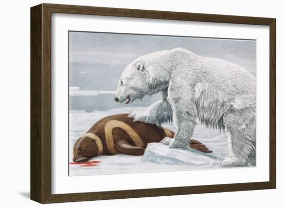 Ribbon Seal, Victim to a Polar Bear-Louis Agassiz Fuertes-Framed Giclee Print