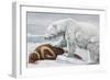 Ribbon Seal, Victim to a Polar Bear-Louis Agassiz Fuertes-Framed Giclee Print