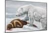 Ribbon Seal, Victim to a Polar Bear-Louis Agassiz Fuertes-Mounted Giclee Print