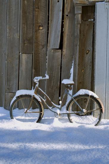 Premium Photographic Print, , large