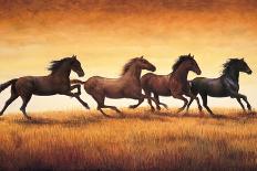 Stallions at Sunset-Ricardo Vargas-Framed Art Print