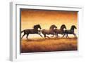 White Frame