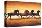 Stretched Canvas